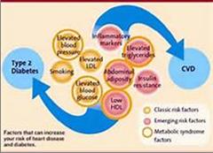 diabetes_and_cardiovascular_problems