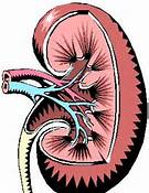 kidneys_dysfunction
