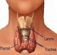 thyroid_problems